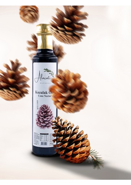 Kozalak Özü - 340G