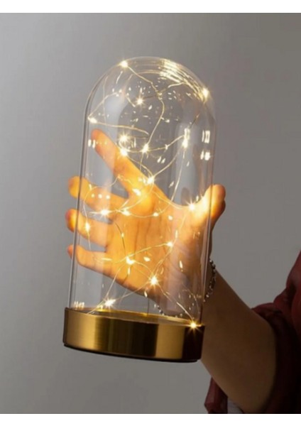 LED Işıklı Gold Ters Fanus 3 Metre Peri Tel Gün Işığı Gold Teraryum Dekoratif Organizasyon Süsleme fiyatları