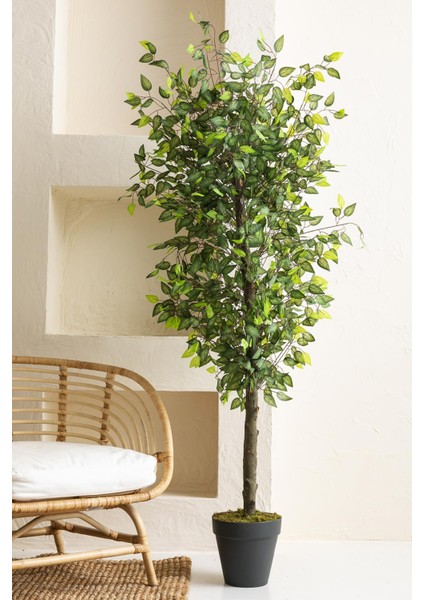 Yapay Benjamin Ağacı 180 cm 108 Dal Açık Yeşil fiyatları