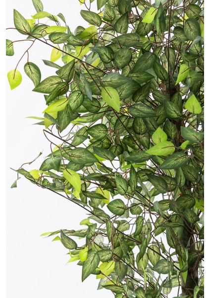 Yapay Benjamin Ağacı 180 cm 108 Dal Açık Yeşil modelleri