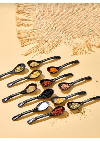 12 Adet Siyah Servis ve Baharat Kaşığı - Kahvaltılık Bal Kaşığı Şeker Reçel Servis Kaşığı fiyatları