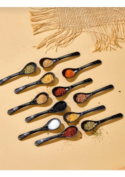 12 Adet Siyah Servis ve Baharat Kaşığı - Kahvaltılık Bal Kaşığı Şeker Reçel Servis Kaşığı modelleri
