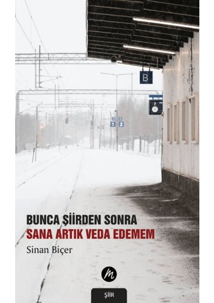 Bunca Şiirden Sonra Sana Artık Veda Edemem
