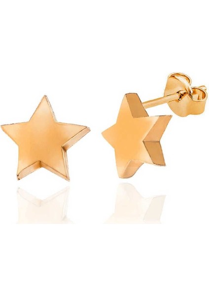 Gümüş Rose Yıldız Çivili Kadın Küpe