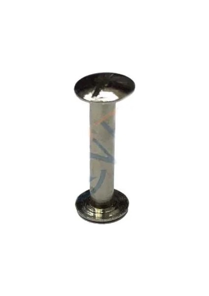 Cilt Menü, Katalog, Kartela Vidası, 20 mm - Nikel, 100 Adet ( Lisinya )