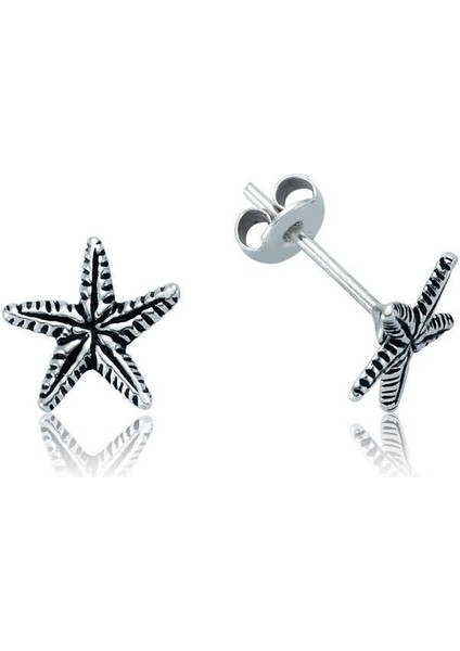 Gümüş Deniz Yıldızı Çivili Küpe