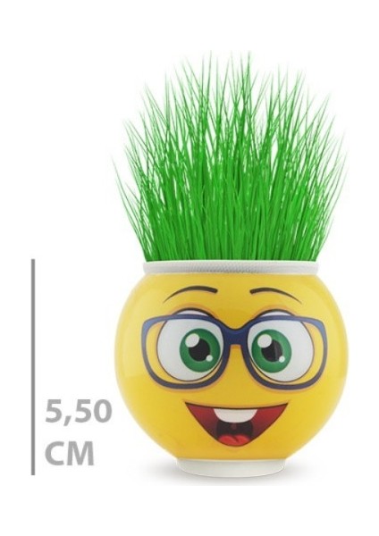 Çim Adam Saksı Emoji Figürlü 1 Adet modelleri