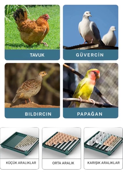 Slim Yeni Model 130’LU Gün Sayaçlı Otomatik Kuluçka Makinesi – Tavuk Kaz Ördek Kuş Yumurtası Uyumlu