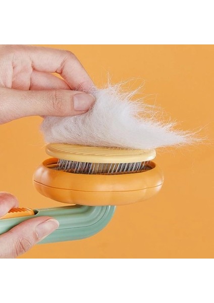 Kabak Tasarımlı Evcil Hayvan Tarağı indirimleri