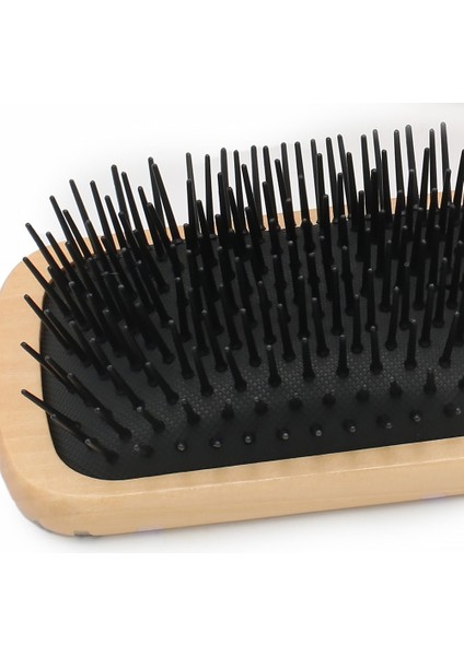 Ahşap, Topuzsuz ve Baskılı Özel Saç Açma Fırçası / JT8586/04 fiyatları
