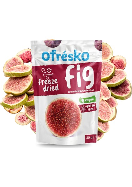 İncir Kuru Meyve Cipsi 20 gr – İlave Şekersiz & Katkısız - Dondurularak Kurutulmuş Sağlıklı Atıştırmalık – Freeze Dried İncir