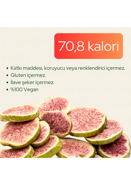 İncir Kuru Meyve Cipsi 20 gr – İlave Şekersiz & Katkısız - Dondurularak Kurutulmuş Sağlıklı Atıştırmalık – Freeze Dried İncir fiyatları