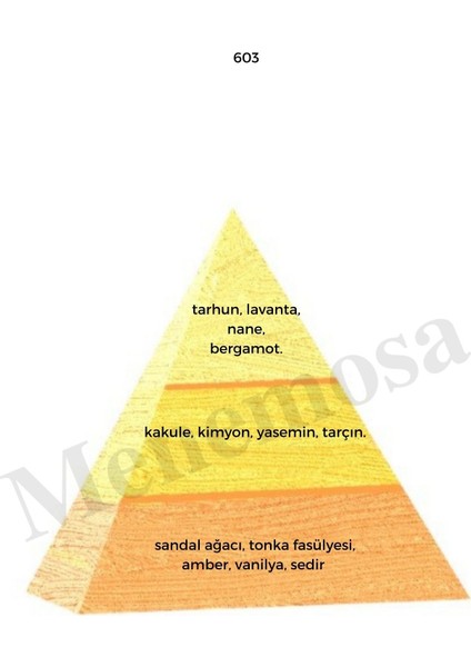 603 + 172 Erkek / Kadın Parfüm Edp Oriental - MNMS603172