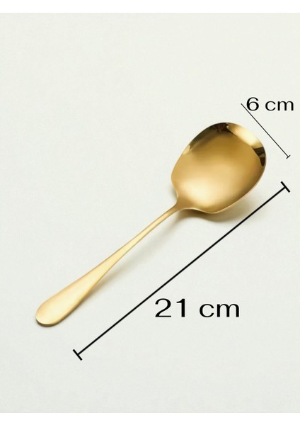 Çelik 21 cm 2 Adet Servis Kaşığı / Sunum Kaşığı fiyatları