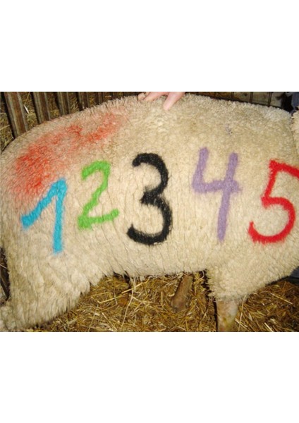 Hayvan Işaretleme Kalemi Kırmızı 5 Li Raidex Üretim fiyatları