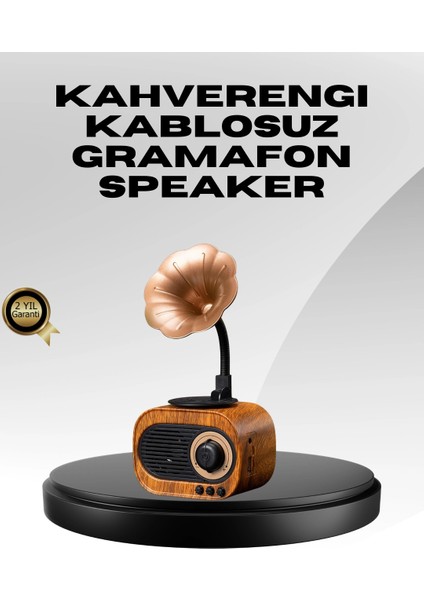 Kablosuz Retro Radyo Hoparlör 5W Güçlü Ses USB Hafıza Kart Destekli