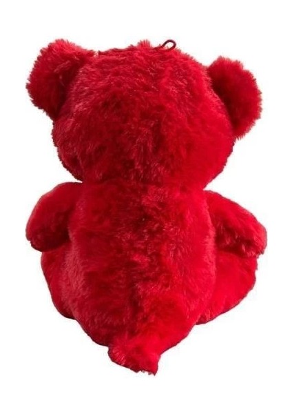 30 cm Ay Yıldız Temalı Ayıcık -Hly