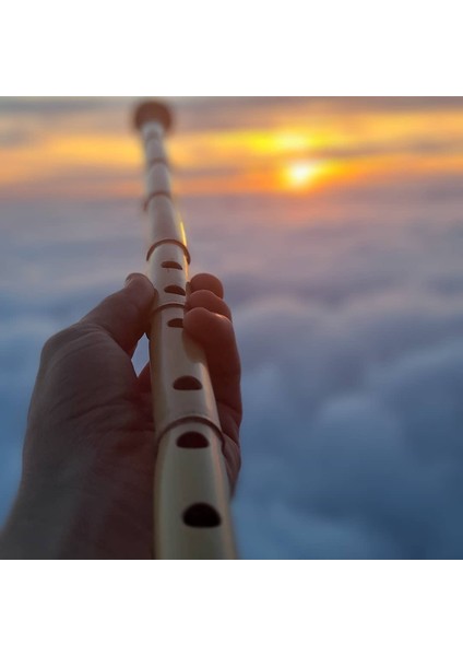 Profesyonel Kız Ney (Sağ El Üstte) fiyatları