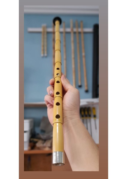 Profesyonel Kız Ney (Sağ El Üstte) fırsatları