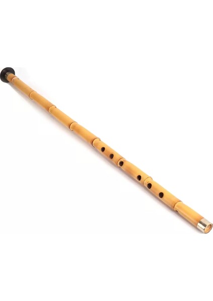Profesyonel Kız Ney (Sağ El Üstte) indirimleri