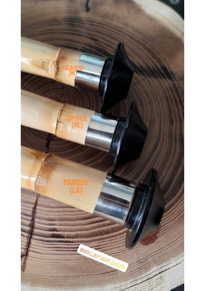 Profesyonel Kız Ney (Sağ El Üstte)