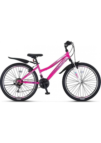 2469 Faster Kadın Dağ Bisikleti V 24 Jant 21 Vites Pembe Lila