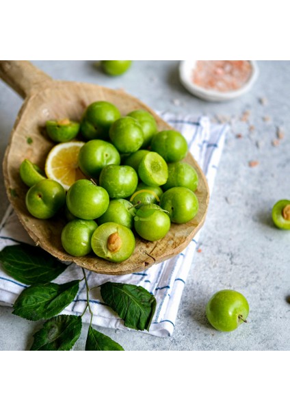 3 Yaş Aşılı Papaz Erik Fidanı *Yarı Bodur* modelleri