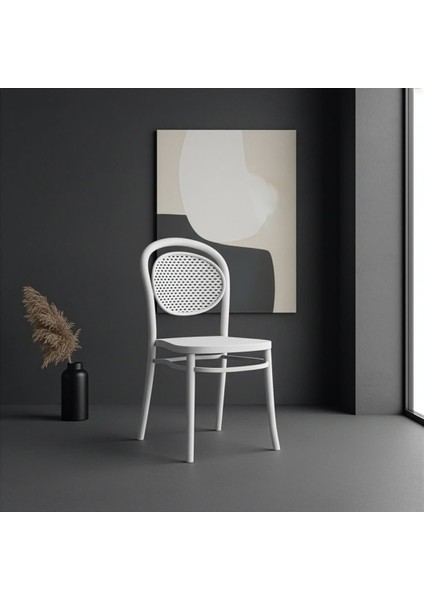 Pluto 2'li Plastik Kolsuz Sandalye