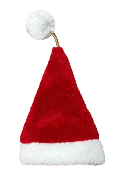 Yeni Yıl Ev Dekorasyonu | Noel Temalı Mutlu Kedi Konsepti Sevimli Yılbaşı Kedili Noel Baba Şapkalı Kedi Temalı Küçük Irk Köpekler modelleri