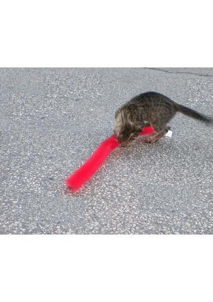 Kedi Tırmalama Fırçası - Kedi Oyuncağı fırsatları