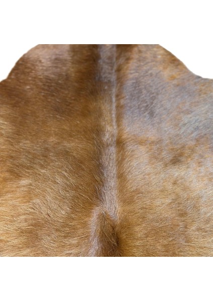 %100 Hakiki Dana Derisi Post Halı – Kahverengi (84X106 Cm) indirimleri