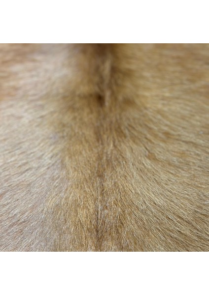 %100 Hakiki Dana Derisi Post Halı – Kahverengi (84X106 Cm)