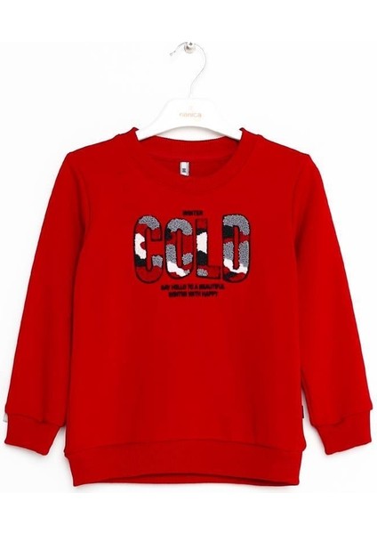 Erkek Çocuk Nakışlı Sweatshirt 6-16 Yaş