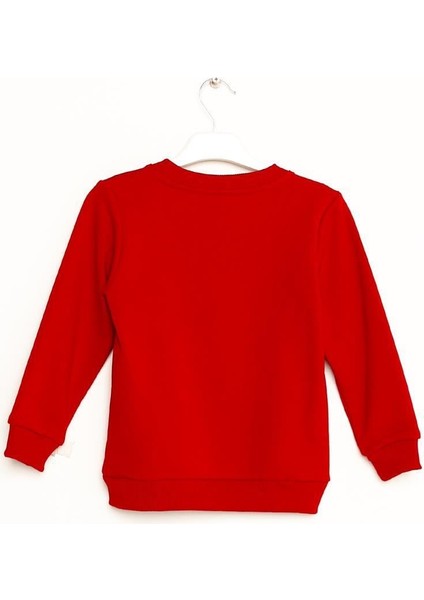 Erkek Çocuk Nakışlı Sweatshirt 6-16 Yaş fiyatları