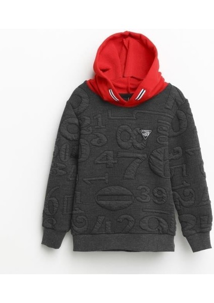 Erkek Çocuk Kapşonlu Sweatshirt 1-5 Yaş