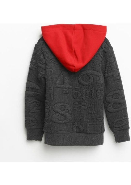 Erkek Çocuk Kapşonlu Sweatshirt 1-5 Yaş fiyatları