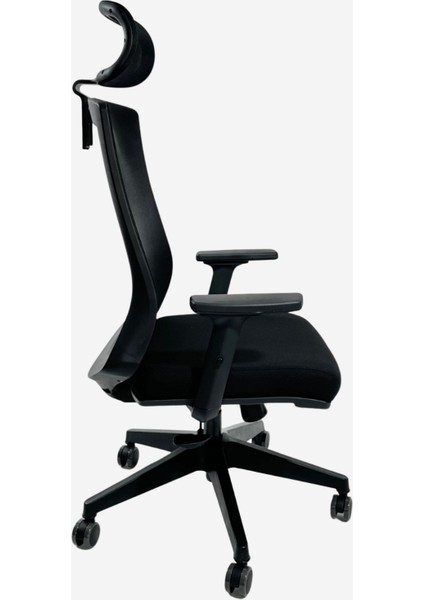 Dynamic Fileli Ergonomik Çalışma Koltuğu – Ayarlanabilir Kollar Başlık Bel Desteği - Siyah