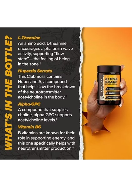 Onnit Alpha Brain Daily Cognitive Support 78 Kapsül fırsatları