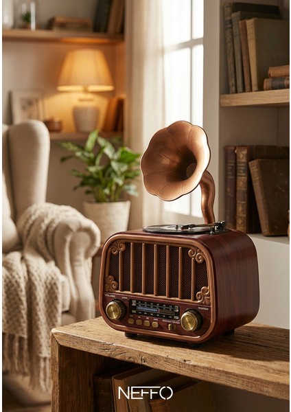 Nostaljik Gramofon Tasarımlı Bluetooth Hoparlör & Plak Çalar Görünümlü Radyo modelleri