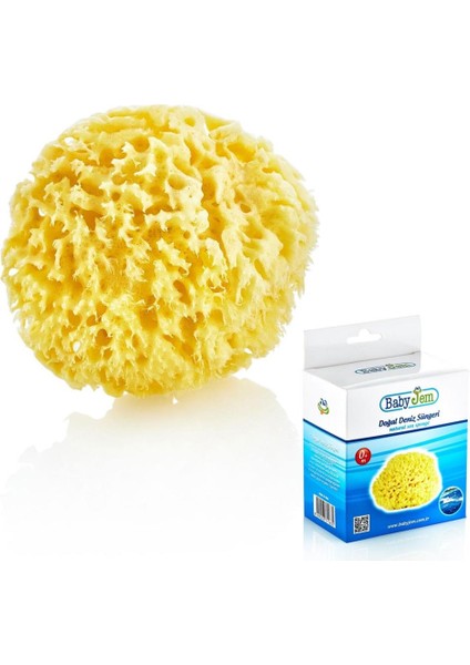 Doğal Deniz Süngeri 163