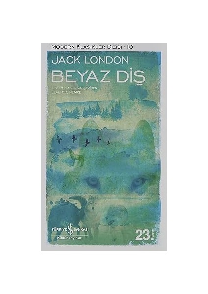 Hizmetçi Serisi (3 Kitaplık Kutulu Set) + Akhilleus’un Şarkısı + 16 Kitap