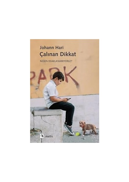 Tutunamayanlar: Bütün Eserleri - 1 + Bilinmeyen Bir Kadının Mektubu: Modern Klasikler Serisi + 1 Kitap modelleri