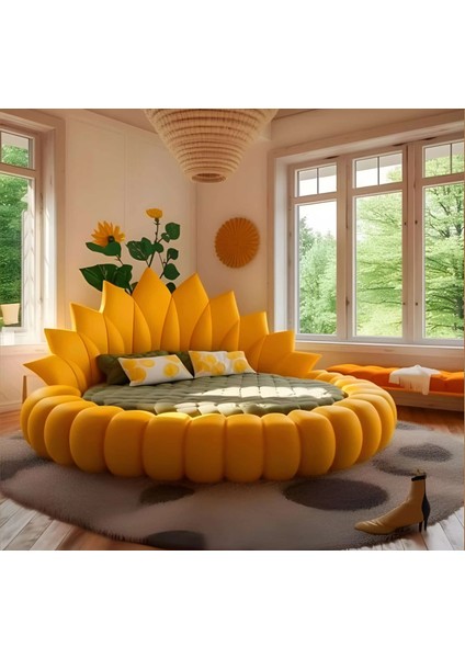 Sunny Seti Baza ve Başlık Takımı