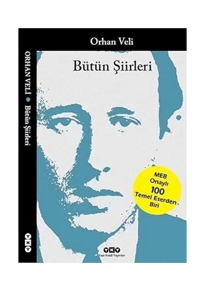 Suç ve Ceza: Hasan Ali Yücel Klasikleri + Babalar ve Oğullar + Hayvanat Bahçesinde Uyku Zamanı + 14 Kitap