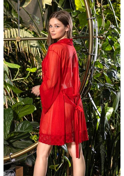 Transparan Mini Boy Sabahlık Kırmızı (BRF11340) fiyatları