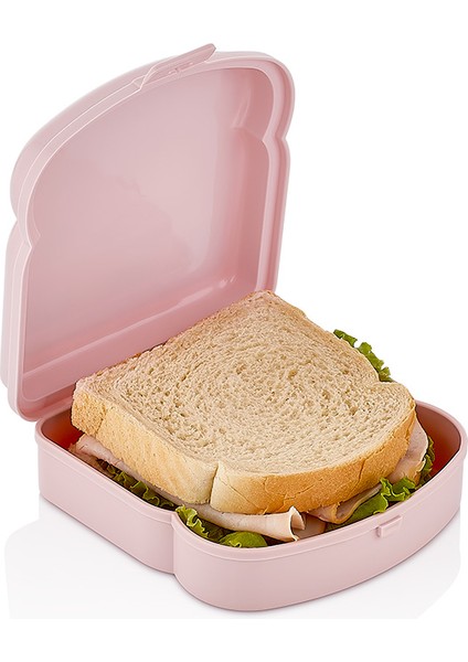 Qlux Ideas 2ADET Beslenme Kabı Okul Ofis Kamp Piknik Sandviç Tost Saklama Taşıma Kabı L-00406 fiyatları