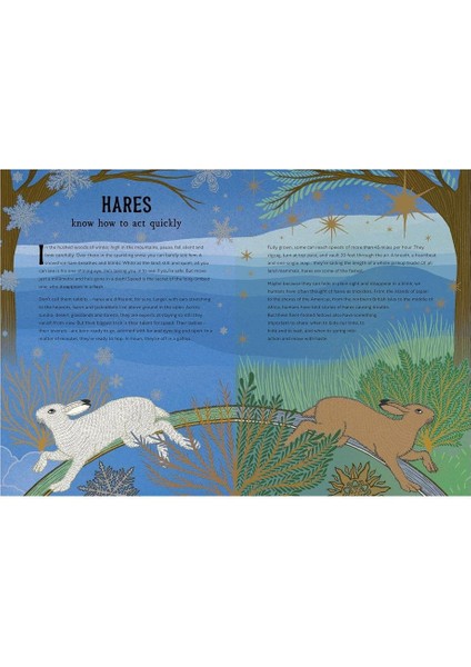 The Hidden Wisdom Of Animals fiyatları