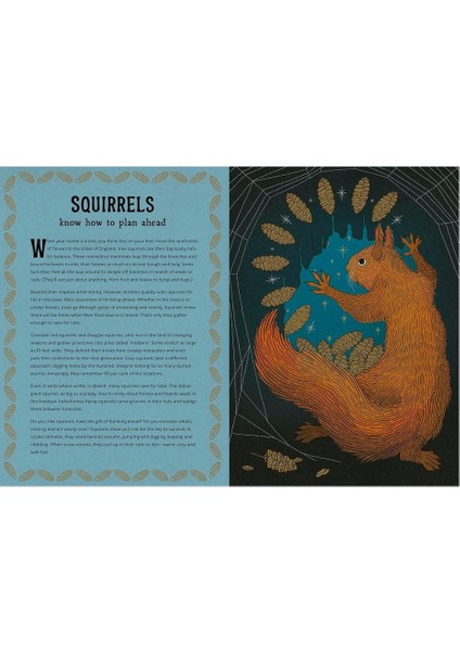 The Hidden Wisdom Of Animals modelleri