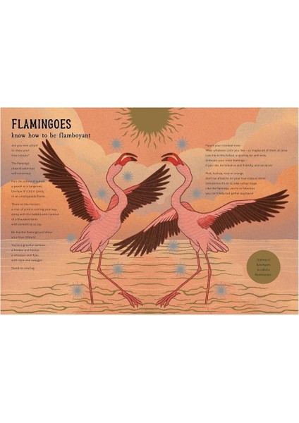 The Hidden Wisdom Of Animals fırsatları