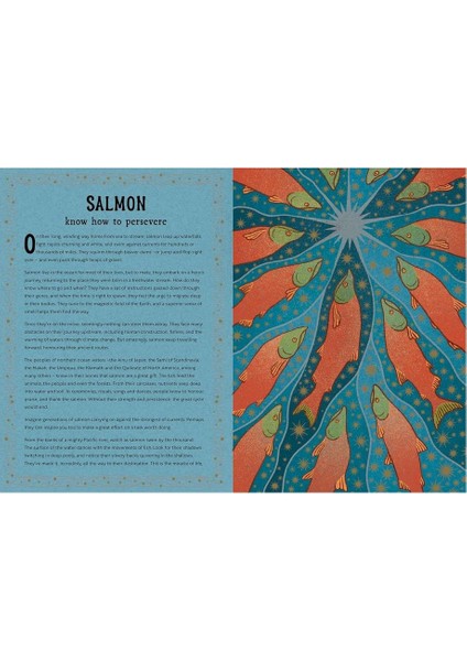 The Hidden Wisdom Of Animals indirimleri